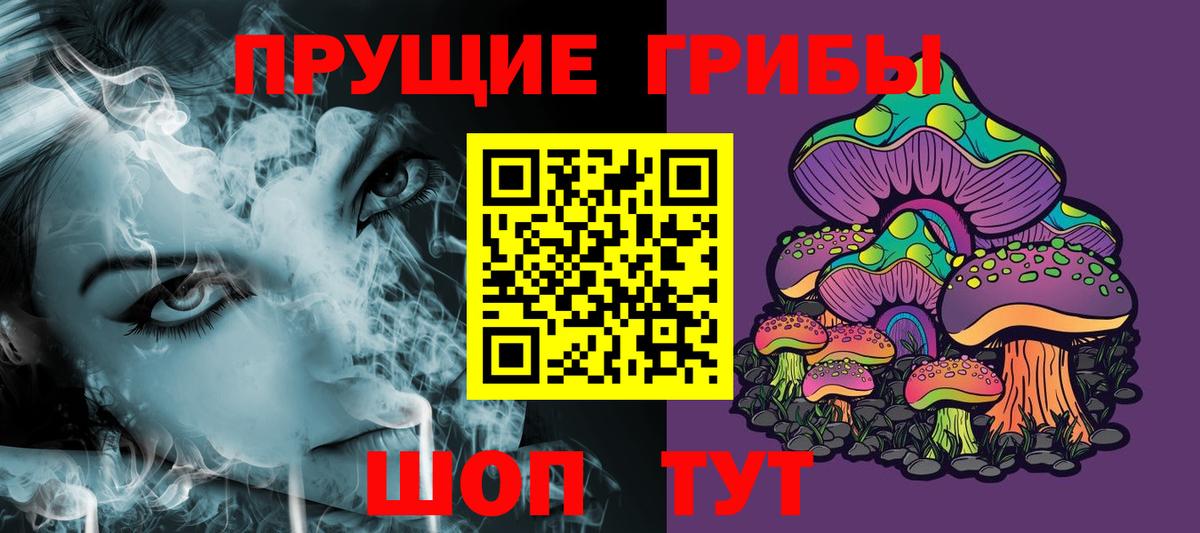 Галлюциногенные грибы Psilocybe Карталы