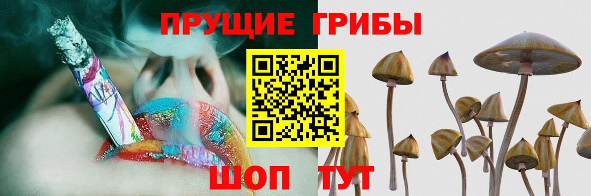 Галлюциногенные грибы прущие грибы  Вход с VPN  Галлюциногенные грибы Psilocybine cubensis  Карталы 